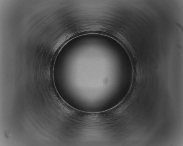 X0000101980834200807181123