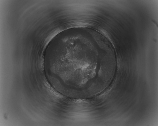 X0000101980835200807181123