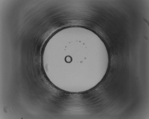 X0000101980836200807181123