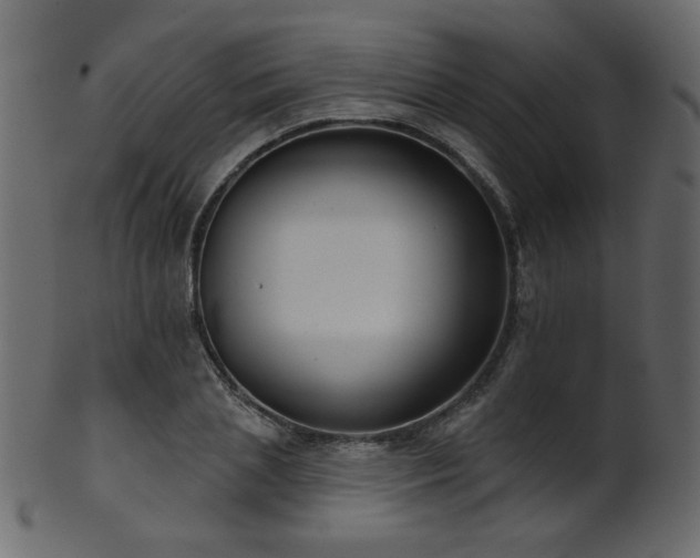 X0000101980837200807181123