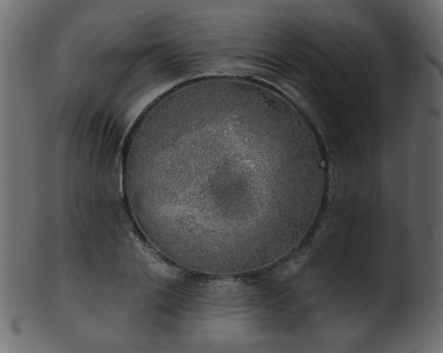 X0000101980838200807181123