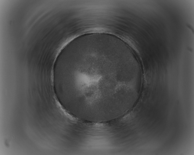 X0000101980839200807181123