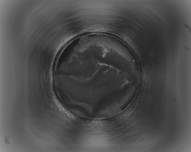 X0000101980840200807181123