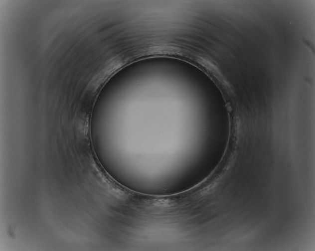 X0000101980841200807181123