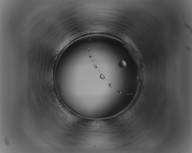 X0000101980842200807181123