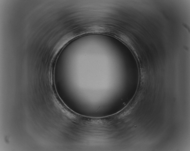 X0000101980843200807181123