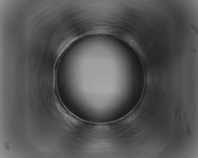 X0000101980844200807181123