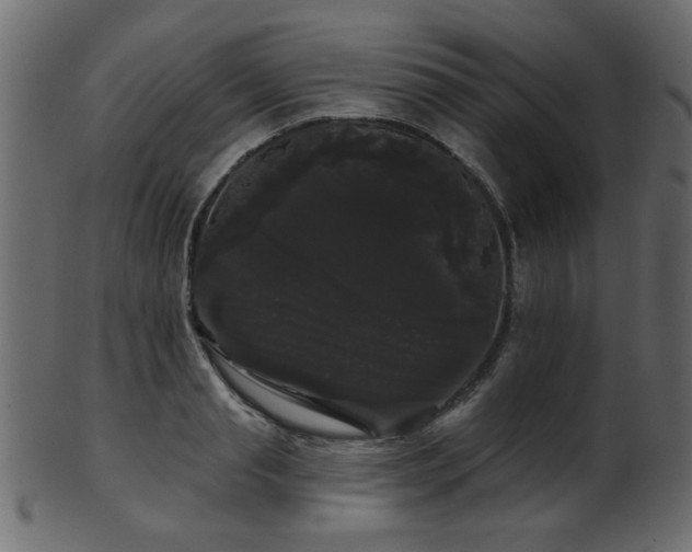 X0000101980845200807181123