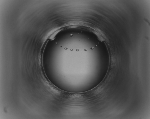 X0000101980846200807181123