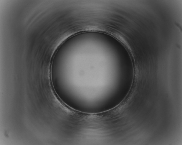 X0000101980847200807181123