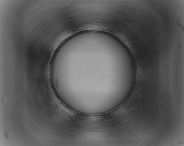 X0000101980848200807181123