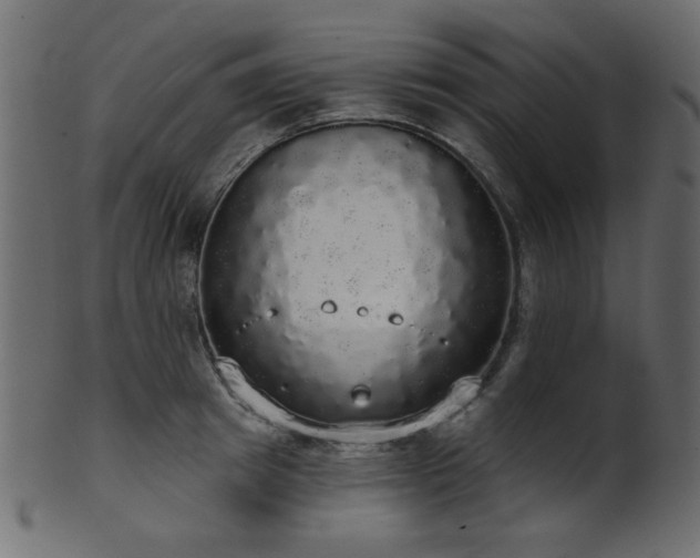 X0000101980849200807181123