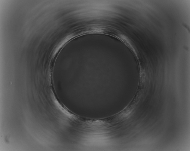 X0000101980851200807181123