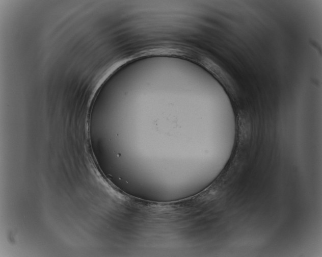 X0000101980852200807181123