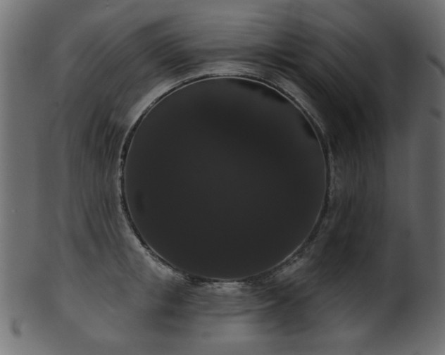 X0000101980853200807181123