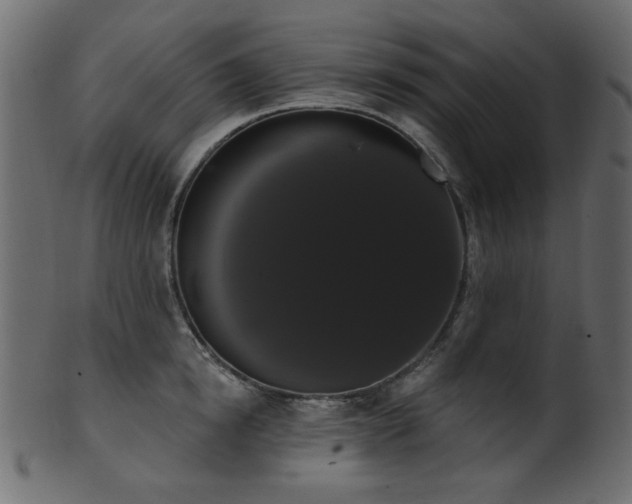 X0000101980854200807181123