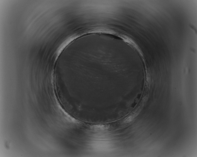 X0000101980855200807181123