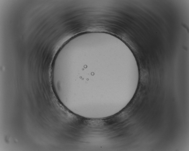 X0000101980856200807181123