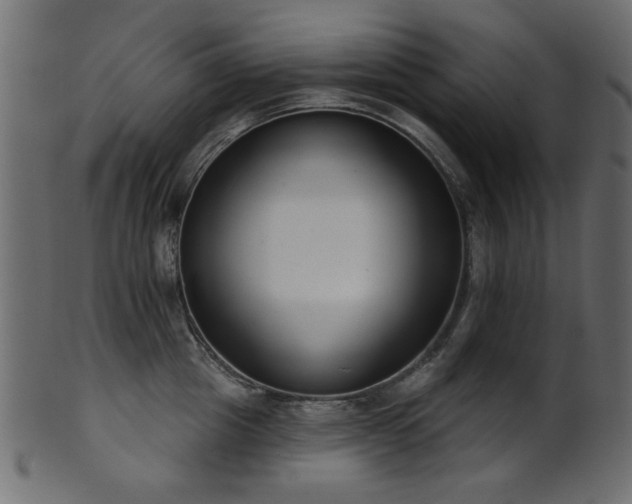 X0000101980857200807181123