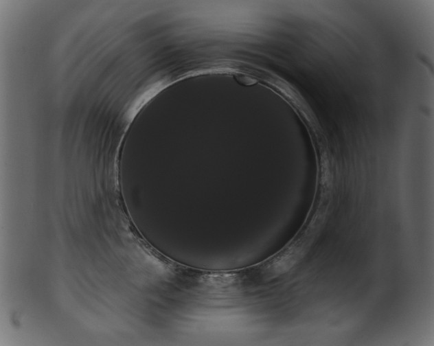 X0000101980858200807181123