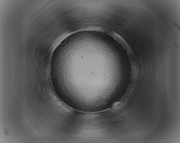 X0000101980860200807181123