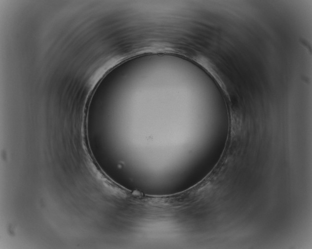 X0000101980861200807181123