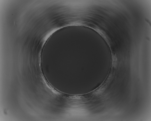 X0000101980862200807181123