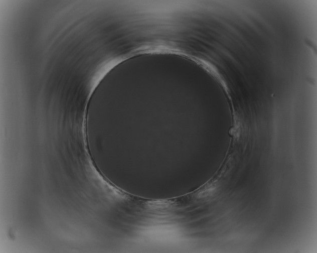 X0000101980863200807181123