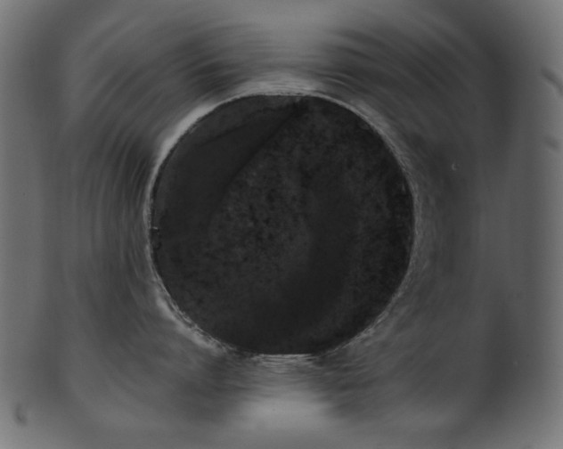 X0000101980864200807181123