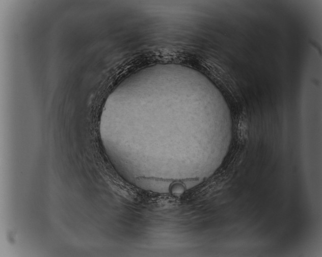 X0000101980865200807181122