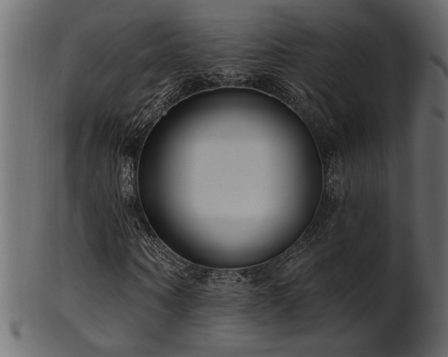 X0000101980866200807181122