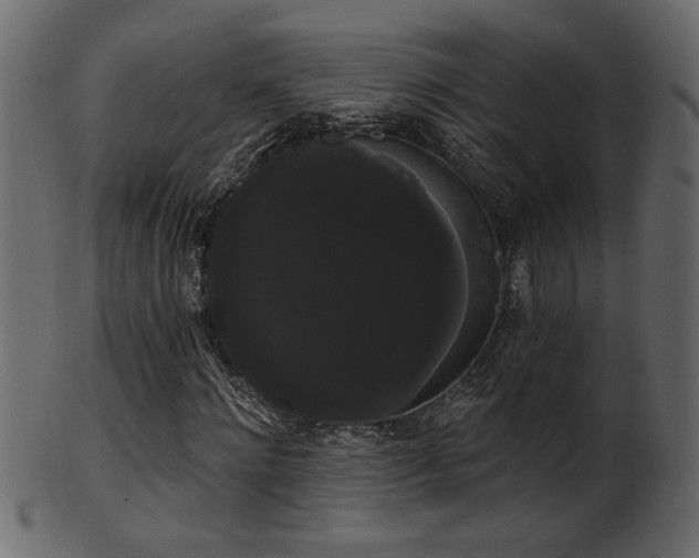 X0000101980868200807181122