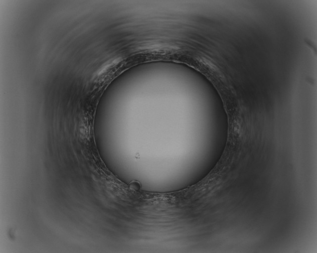 X0000101980869200807181122