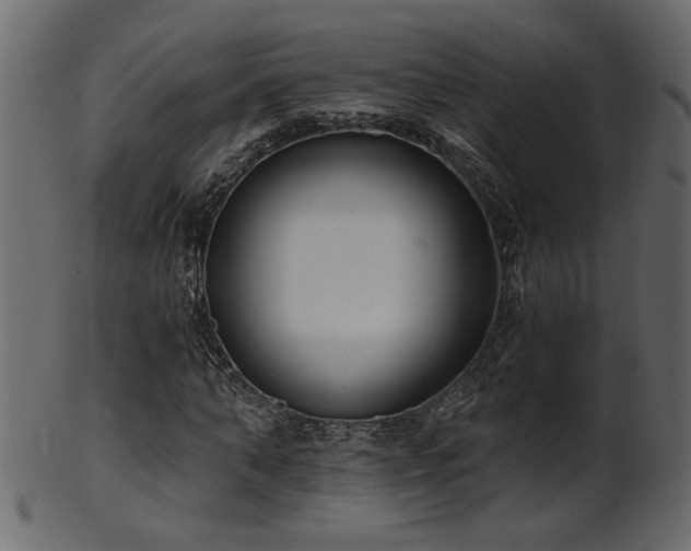 X0000101980870200807181122