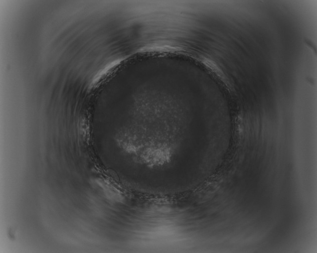 X0000101980872200807181122