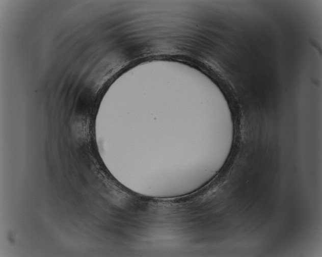 X0000101980873200807181122