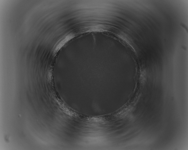 X0000101980874200807181122