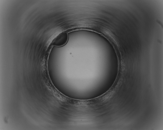 X0000101980875200807181122