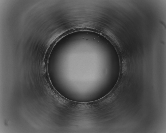 X0000101980876200807181122