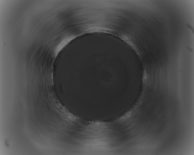 X0000101980877200807181122