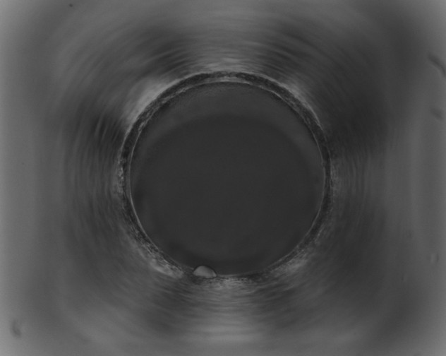 X0000101980879200807181122