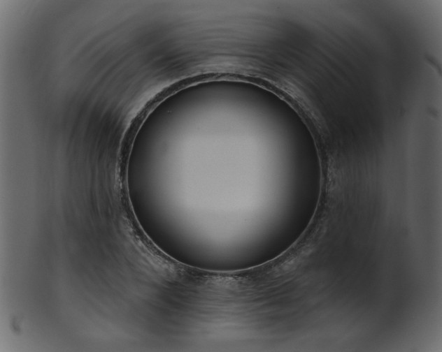 X0000101980880200807181122