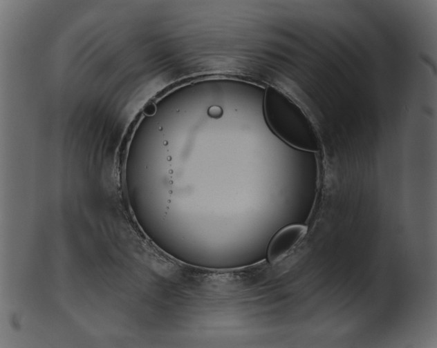 X0000101980883200807181122