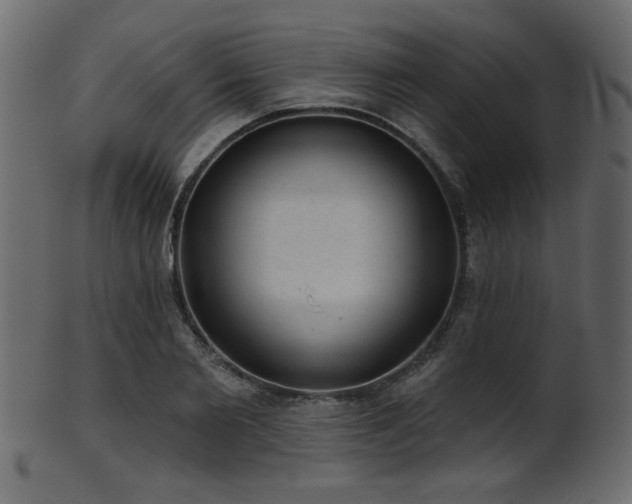 X0000101980885200807181122