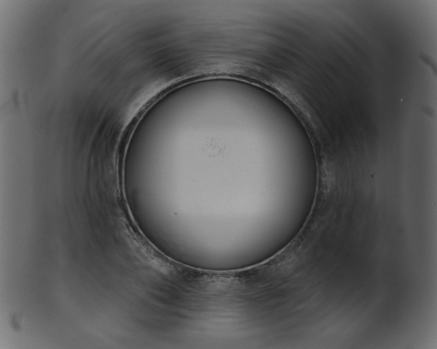 X0000101980886200807181122