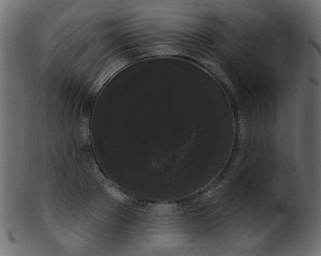 X0000101980889200807181122