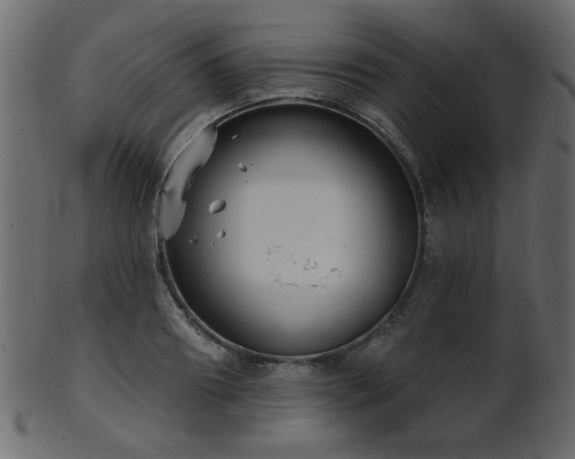 X0000101980890200807181122