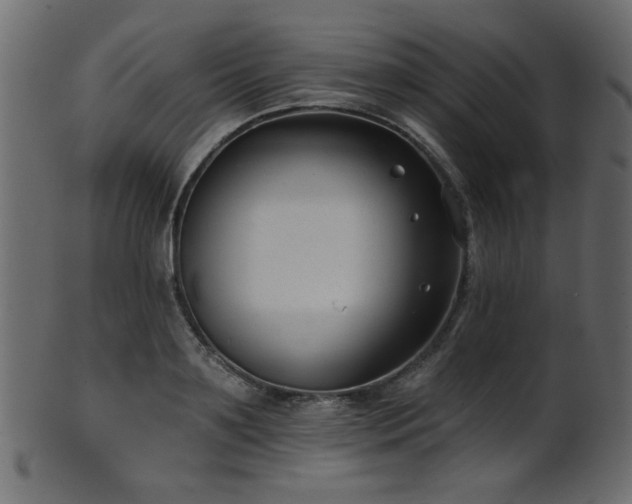 X0000101980891200807181122