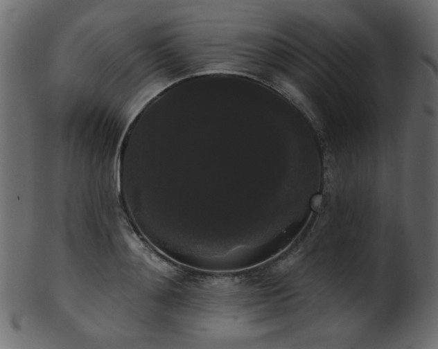 X0000101980892200807181122