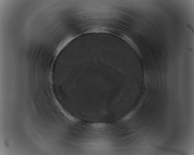 X0000101980893200807181122